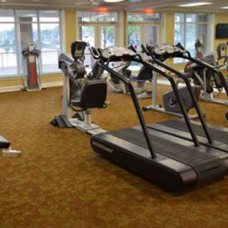An empty gym with various exercise equipment, including treadmills and ellipticals.