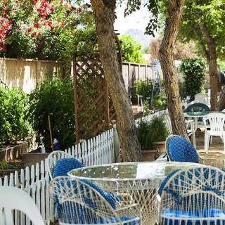 A charming garden cafe with outdoor seating surrounded by lush greenery and trees.