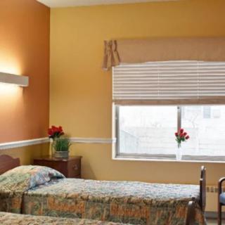 A cozy bedroom with twin beds, warm orange walls, and simple floral decor.