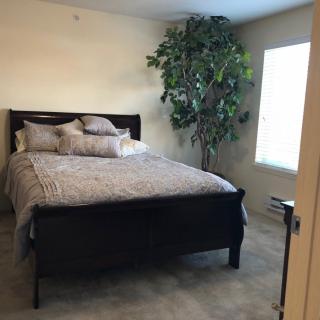 A cozy bedroom with a large bed, decorative pillows, and a potted plant by the window.