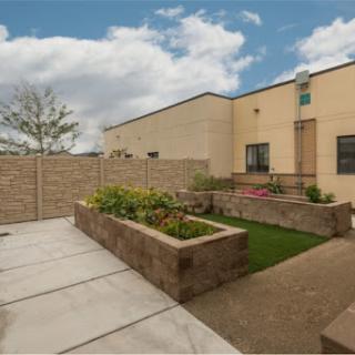 A charming courtyard garden featuring landscaped beds and a paved pathway underneath a partly cloudy sky.