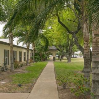 A tranquil garden pathway surrounded by lush greenery and palm trees, leading to an archway near a building.