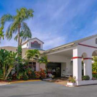 Tropical hotel entrance with palm trees and bright architecture.