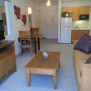 Cozy apartment living room with a view into the kitchen and dining area.