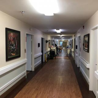 A long hospital corridor with paintings on the walls and bright overhead lighting.