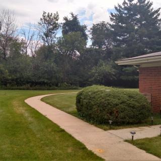 A well-maintained lawn with a curved sidewalk leading to a brick building, surrounded by trees and bushes.