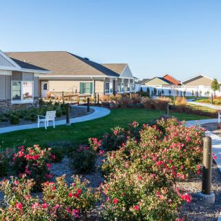 A suburban housing community with well-maintained gardens.