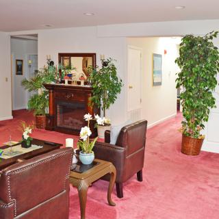 A cozy living room with a fireplace, leather chairs, and lush green plants.