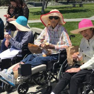 A group of elderly individuals in wheelchairs enjoying a sunny day at the park, wearing colorful hats.