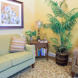 A cozy living room with a green sofa, large plant, and a small wooden side table adorned with decor items.