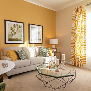 A modern living room with yellow walls and stylish decor.