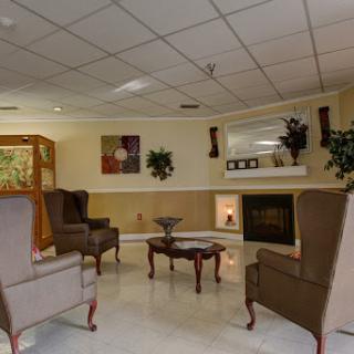 A cozy living room setting featuring comfortable chairs, a coffee table, decorative plants, and a fireplace.