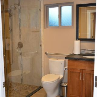 A modern bathroom with a glass shower, toilet, and wooden vanity.