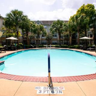 A serene outdoor swimming pool surrounded by palm trees and seating areas on a sunny day.