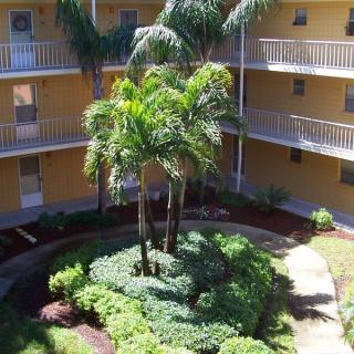 A sunny courtyard in an apartment complex with palm trees and well-maintained landscaping.