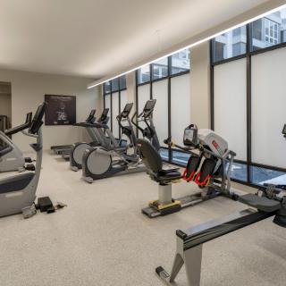 A modern gym featuring a variety of exercise equipment, including treadmills, ellipticals, and rowing machines.