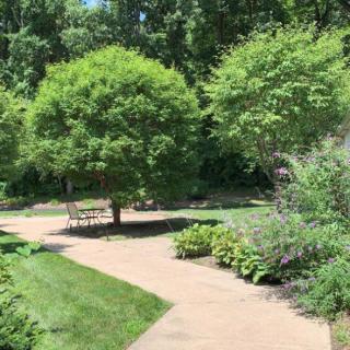 A serene garden pathway surrounded by lush greenery and trees.