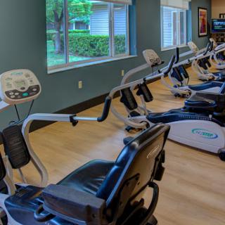 A row of recumbent exercise bikes in a well-lit fitness studio, perfect for a comfortable workout.