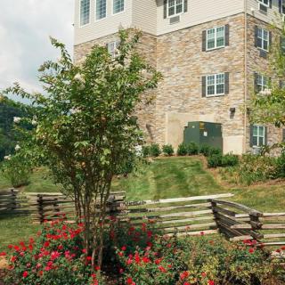 A landscaped garden in front of a building with flowers, trees, and a wooden fence.