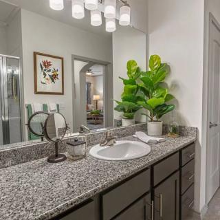 A modern bathroom with a granite countertop, decorative plants, and stylish lighting.