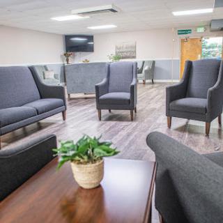 A cozy waiting room featuring modern chairs and a small indoor plant, designed for comfort.