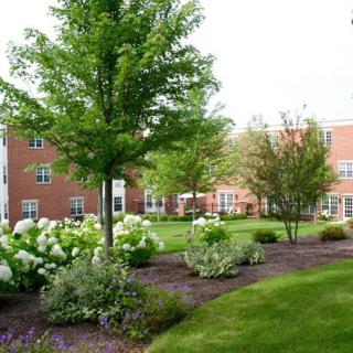 A well-maintained garden with trees and flowers in front of a brick building.