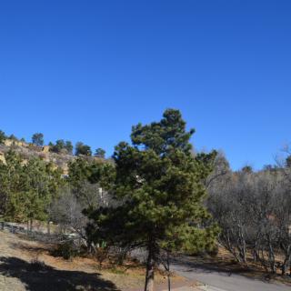 A scenic view of a tree-lined landscape under a clear blue sky.