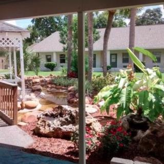 A serene garden view with a gazebo, pond, and tropical plants.