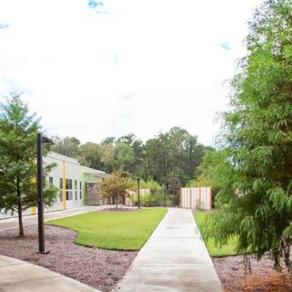 A landscaped outdoor area with a pathway leading through grass and trees.