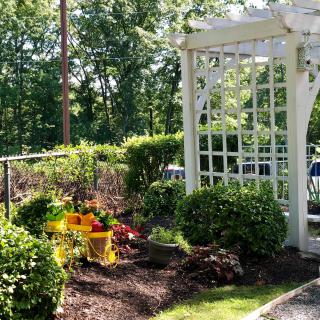 A sunny garden with a white pergola and vibrant flowers.