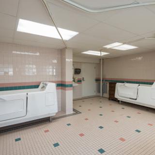 A spacious, well-lit laundry room featuring several washing machines and a tiled floor.