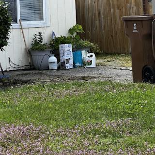 A view of an outdoor area featuring a lawn, garden supplies, and a trash can.