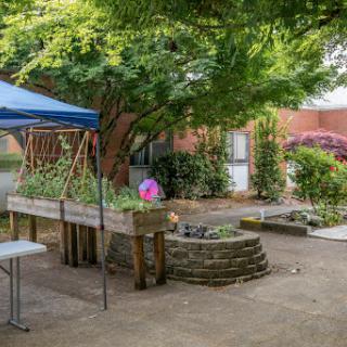 A serene garden area featuring raised vegetable beds, a table, and lush greenery.