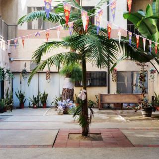 A quaint courtyard decorated with flags and a central palm tree, surrounded by benches and potted plants.