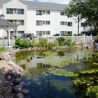A serene garden pond surrounded by lush greenery and an apartment building in the background.