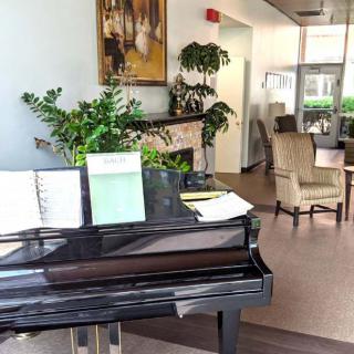 A cozy living room with a grand piano adorned with sheet music and surrounded by plants and elegant furniture.
