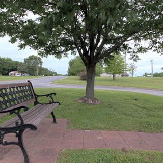 A peaceful park scene featuring a bench under a tree, surrounded by greenery.