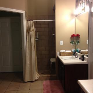 A modern bathroom with a sink, mirror, shower, and decorative flowers.