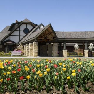 A beautifully landscaped garden with vibrant tulips in front of a charming building.