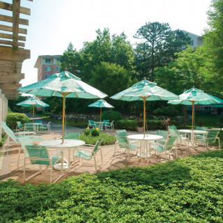 A tranquil outdoor patio with tables, chairs, and umbrellas surrounded by lush greenery on a sunny day.