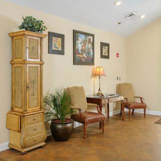 A cozy waiting area with chairs, a lamp, a potted plant, and framed artwork on the walls.