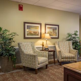 A cozy waiting room with two patterned chairs, a lamp, and decorative plants.