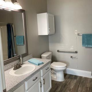 A modern bathroom with a sink, toilet, and blue accents.