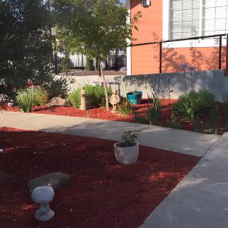 A landscaped garden with a paved walkway, featuring various plants and red mulch.