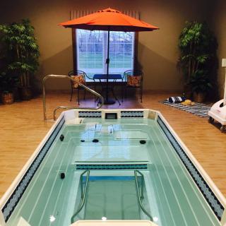A luxurious indoor swimming pool with an umbrella and surrounding plants, creating a serene relaxation space.