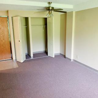 An empty room featuring a closet, carpet flooring, and a ceiling fan.