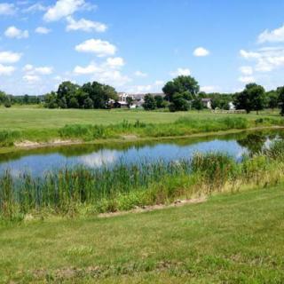 A serene landscape with a pond surrounded by grass and trees under a clear blue sky.