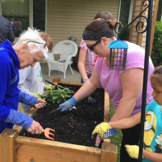 A group of people working together in a garden, planting in a raised bed.