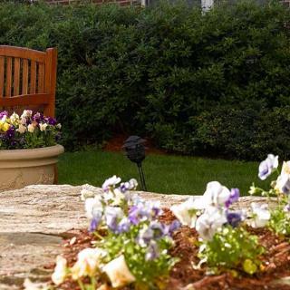 A tranquil garden scene featuring a variety of colorful flowers and a wooden bench.