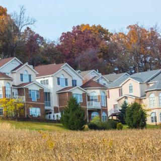 A suburban neighborhood with houses surrounded by autumn-colored trees.